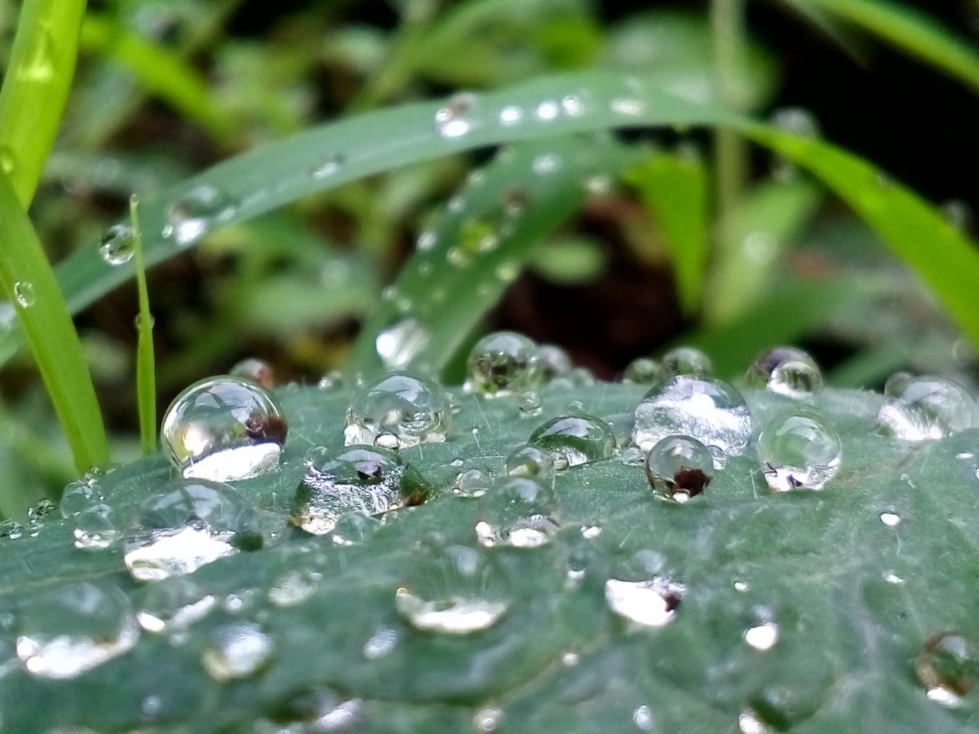 rain water tanks