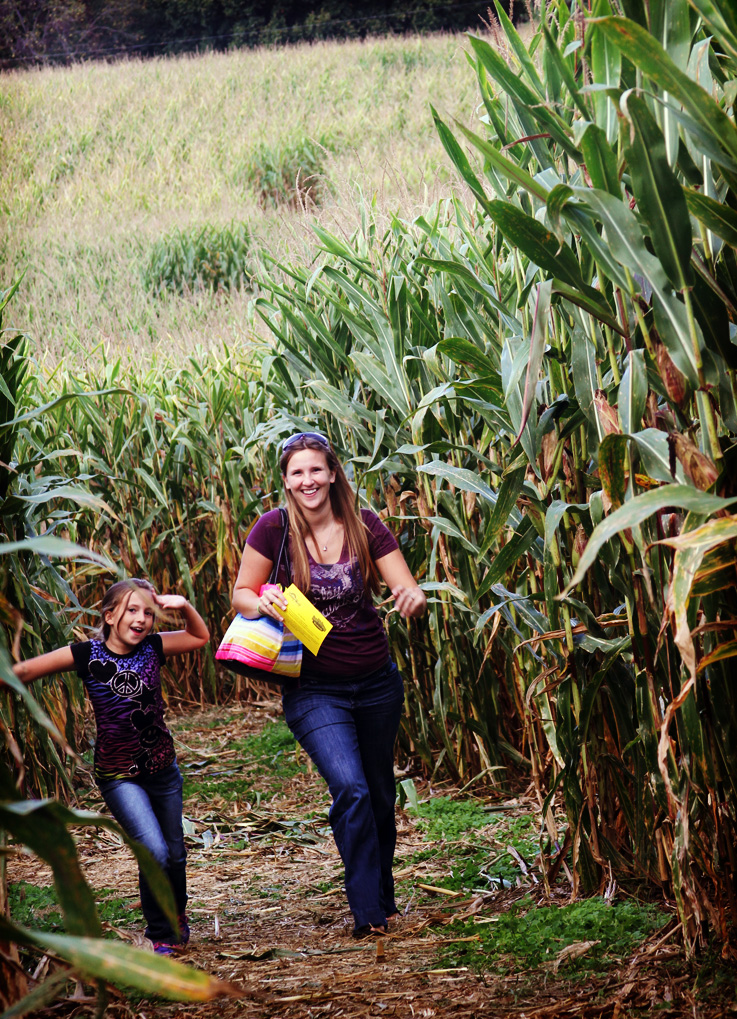 Holiday World Corn Maze