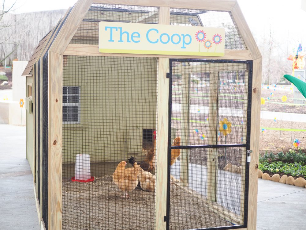 xZooberance at the Indianapolis Zoo The Coop