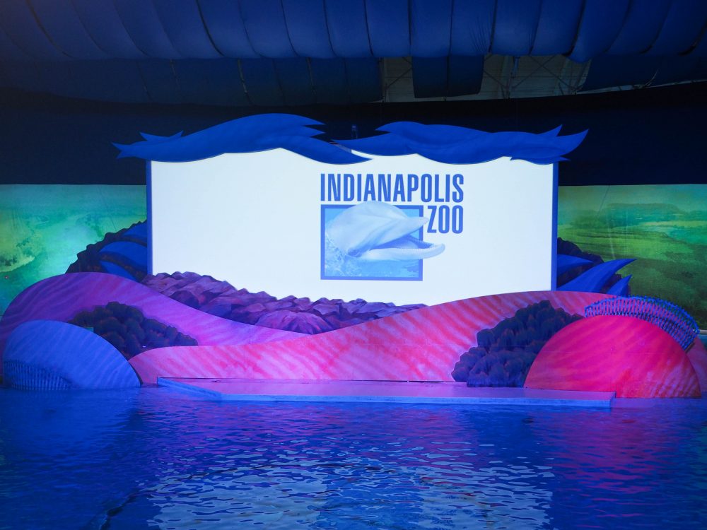 Indianapolis Dolphin Show