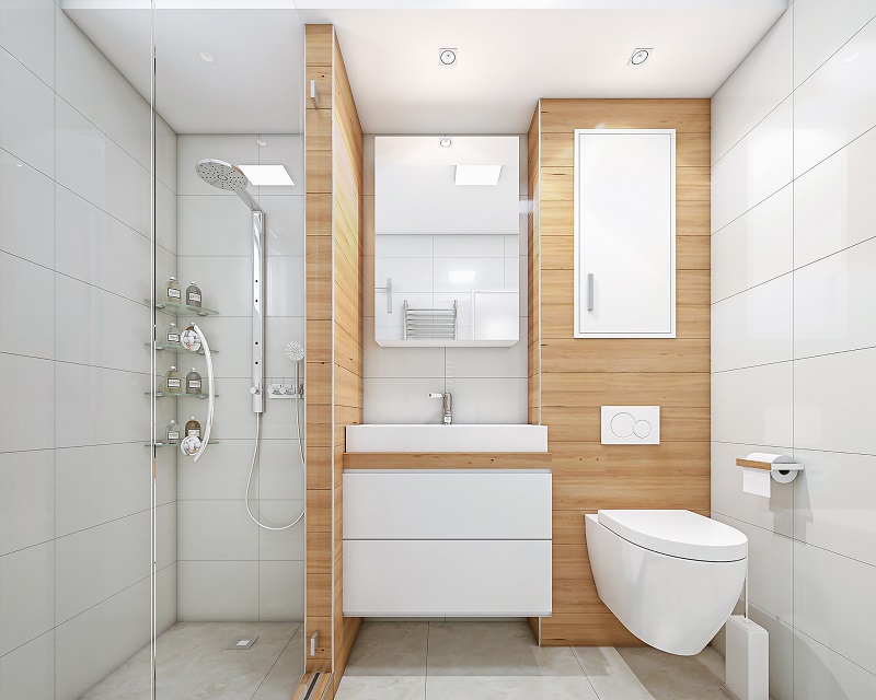 Modern bathroom with shower