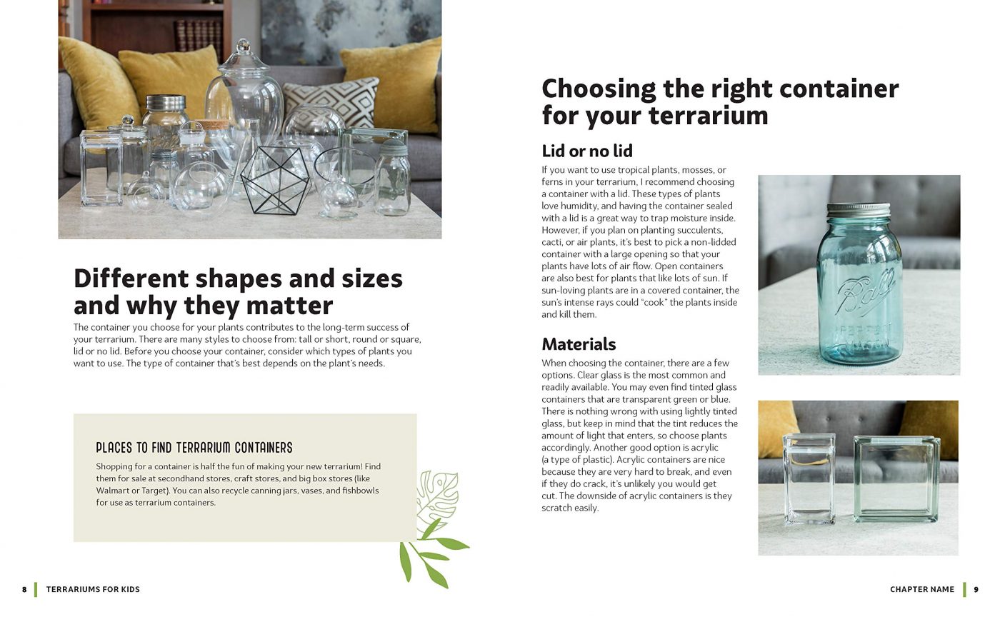 A Family Guide to Terrariums for Kids