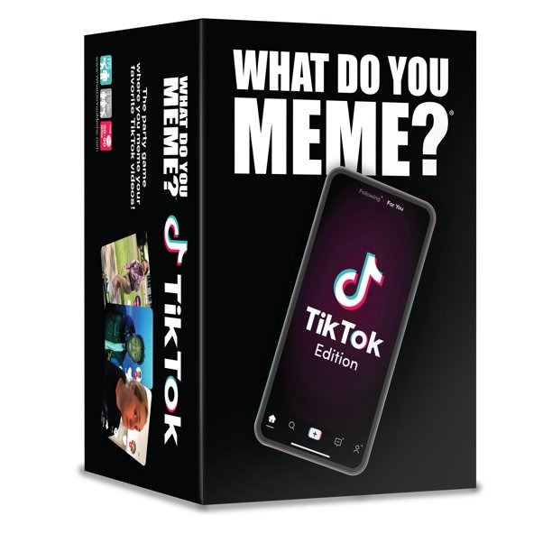 What Do You Meme TikTok Edition in post