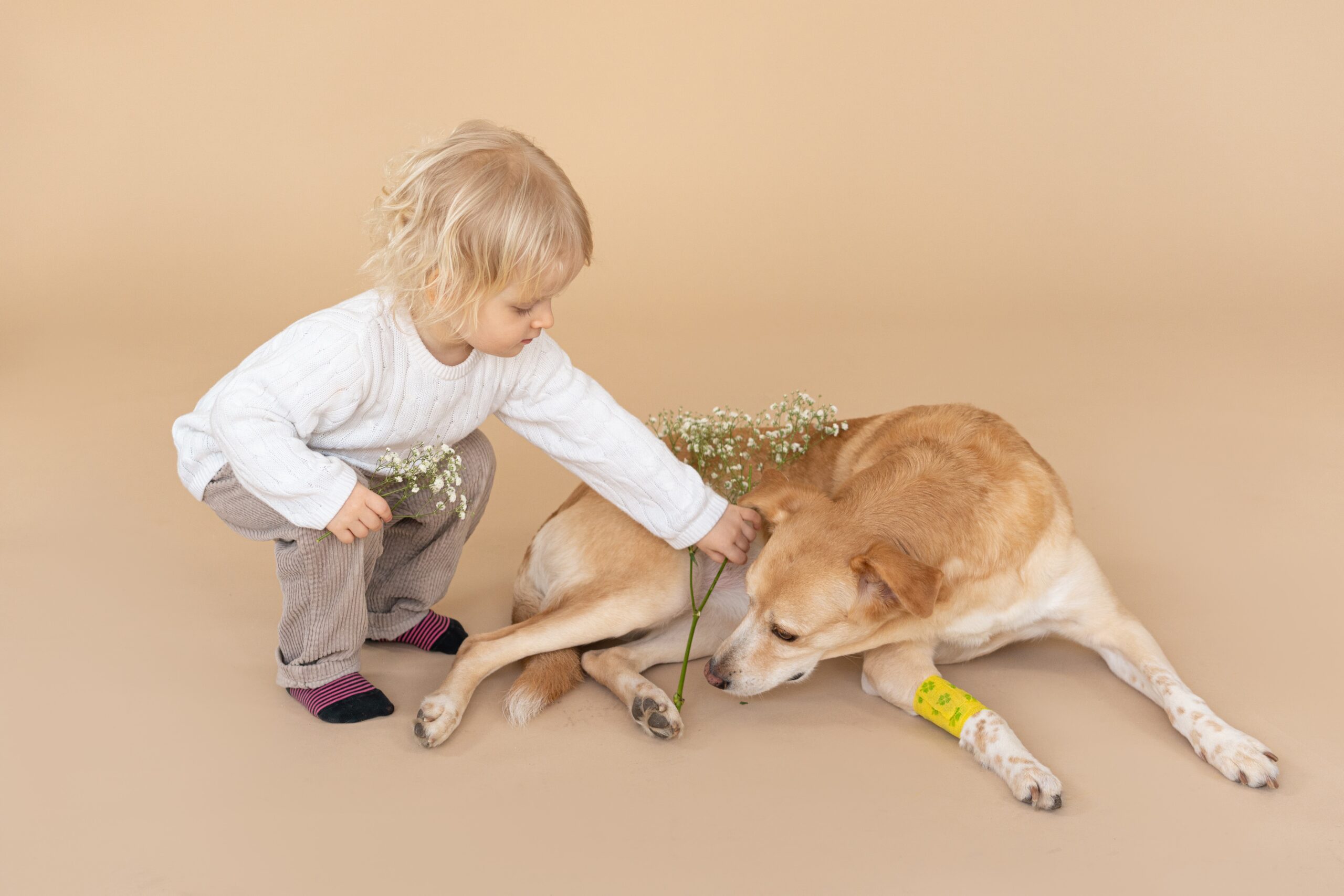 Top 4 Dog Breeds for Families With Children