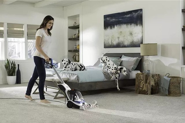 best carpet cleaner for pet stain